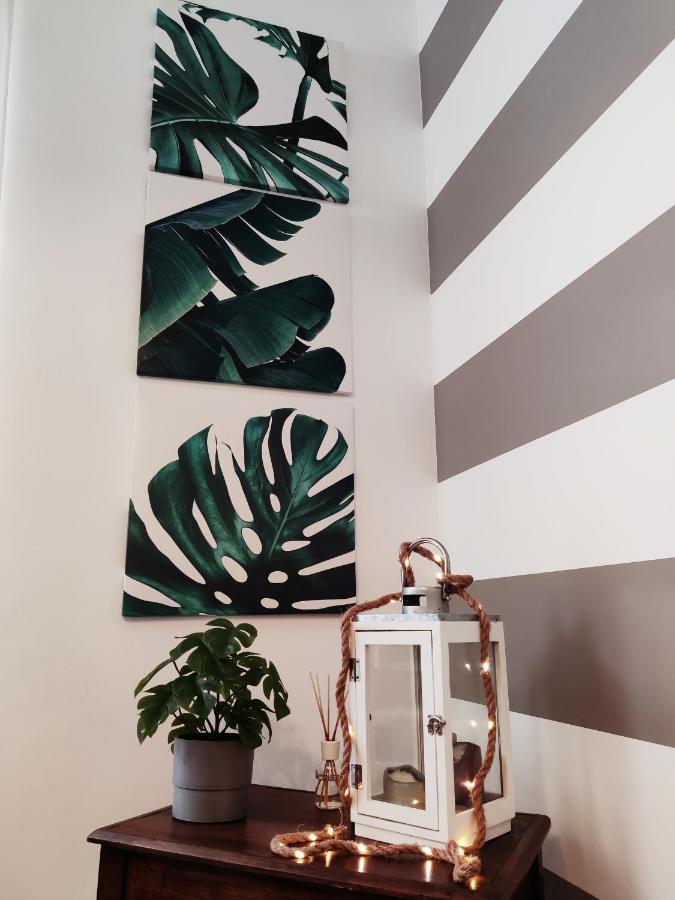 Modern Flat With Panoramic Terrace In Zuccarello Lejlighed Eksteriør billede